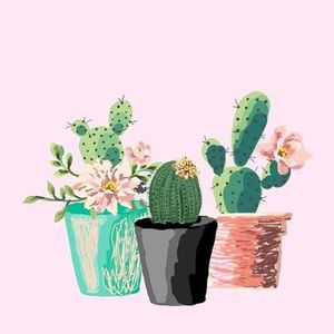 Meet your Posher, Rose